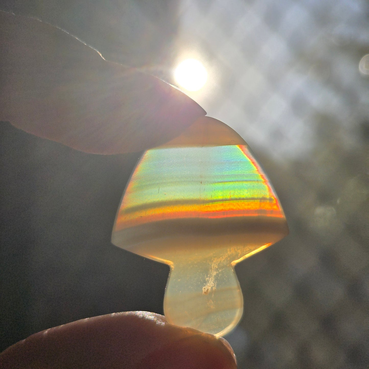 Iris Agate Mushroom
