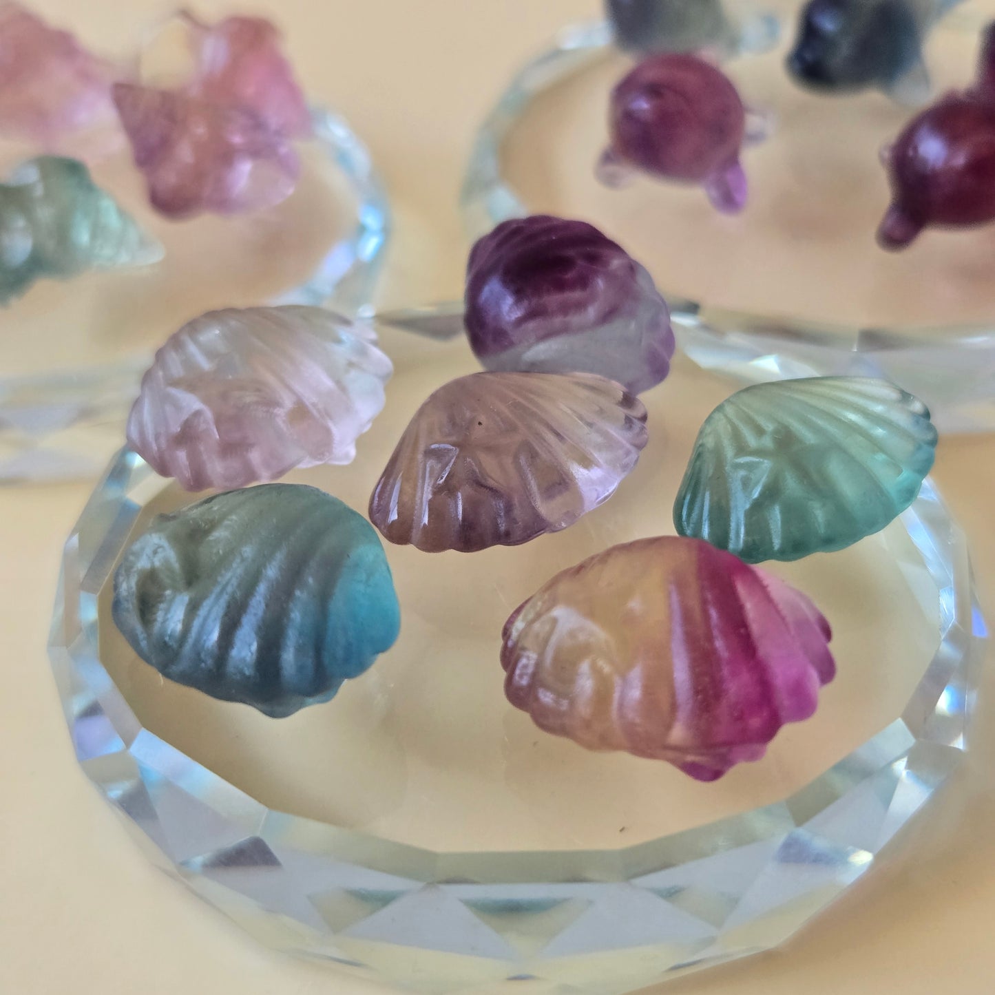 Mini Fluorite Clam Shell with Starfish Carving