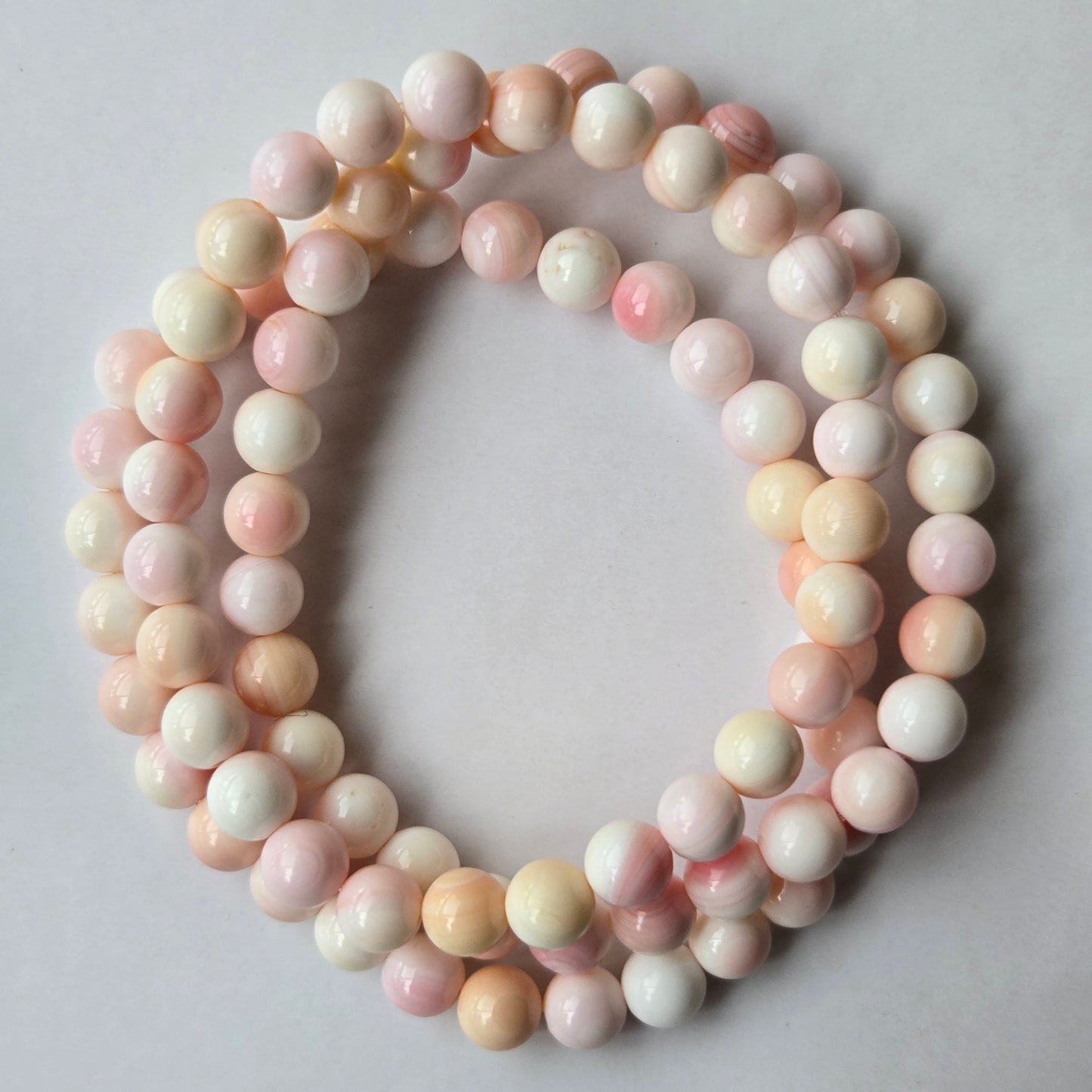Pink Conch Shell 6.5mm Beaded Bracelet