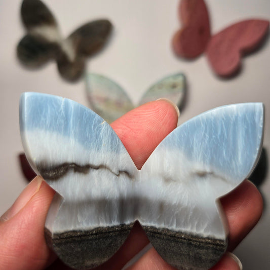 Blue Opal Butterfly