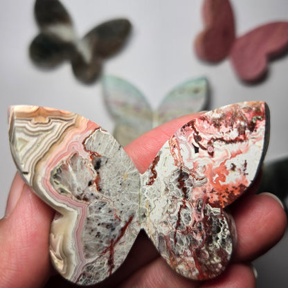 Mexican Lace Agate Butterfly