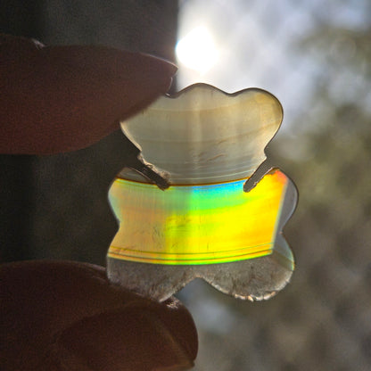 Iris Agate Bear