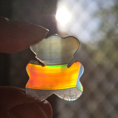 Iris Agate Bear