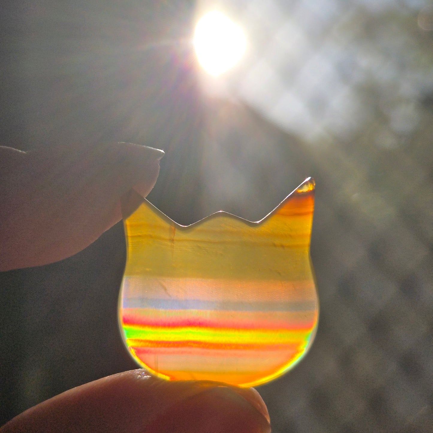 Iris Agate Cat