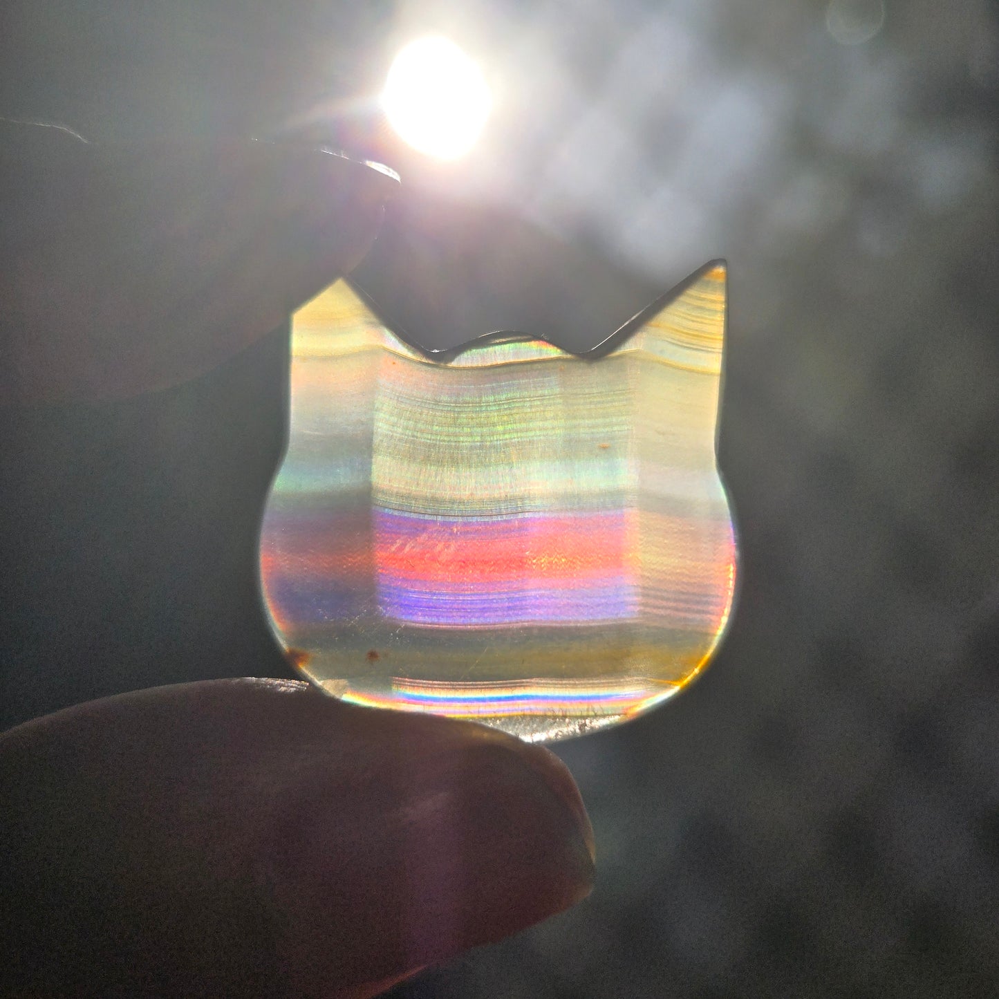 Iris Agate Cat