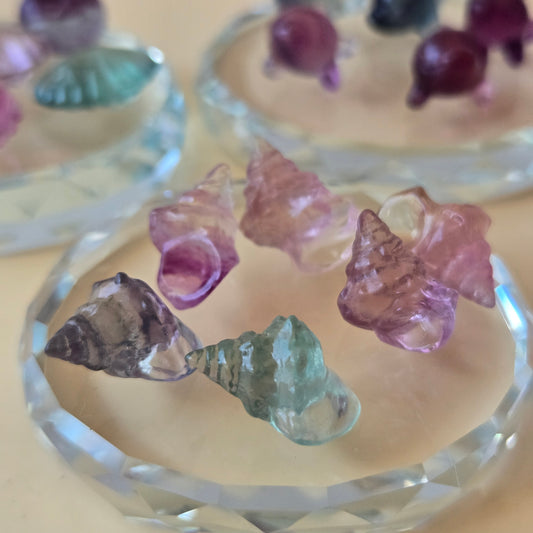 Mini Fluorite Conch Shell Carving