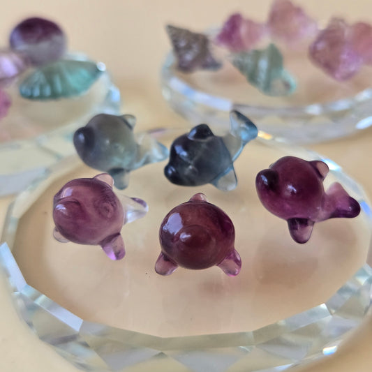Mini Fluorite Dolphin Carving