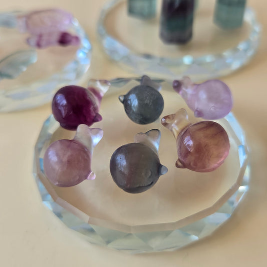 Mini Fluorite Whale Carving