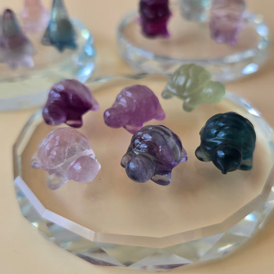Mini Fluorite Tortoise Carving